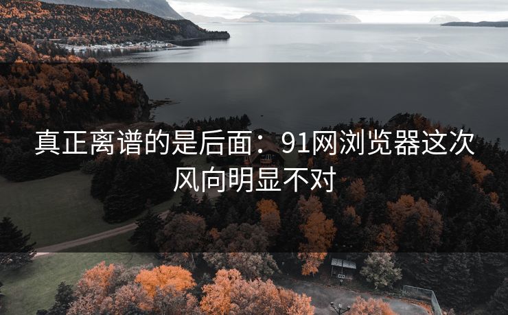 真正离谱的是后面:91网浏览器这次风向明显不对 真正离谱的是后面:91网浏览器这次风向明显不对
