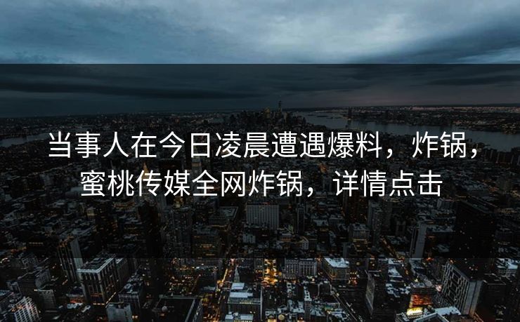当事人在今日凌晨遭遇爆料,炸锅,蜜桃传媒全网炸锅,详情点击 当事人在今日凌晨遭遇爆料,炸锅,蜜桃传媒全网炸锅,详情点击